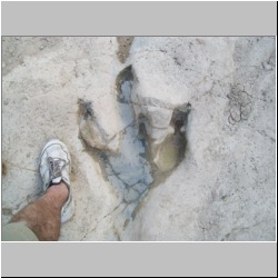 100_0336 (2009-25-07).JPG